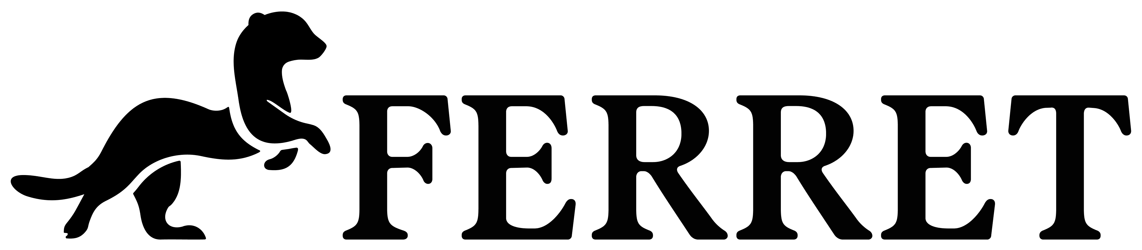 Ferret